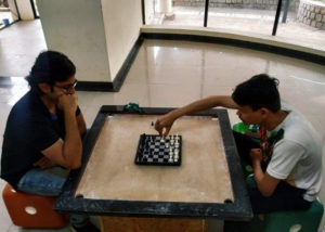 burning-bush-2021_0008_IMG_20210529_140601_404