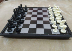 burning-bush-2021_0009_IMG_20210529_140556_306