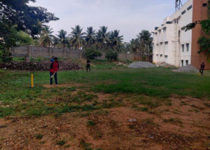 burning-bush-2021_0015_IMG_20210508_074934