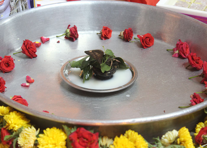 mahashivratri-2022_0012_5