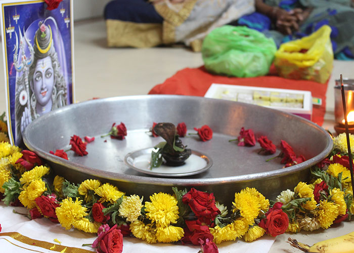 mahashivratri-2022_0014_3