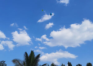 makarsankranti-2022_0008_27