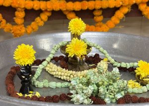 mahashivratri-08-03-2024_0003_IMG_9923